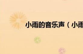小雨的音樂聲（小雨 音樂磁場演唱的歌曲）
