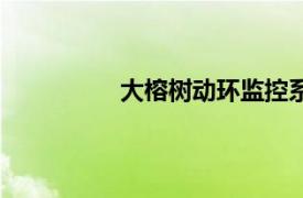 大榕樹動環監控系統（動環監控系統）