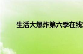 生活大爆炸第六季在線觀看（生活大爆炸第六季）