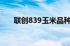 聯創839玉米品種介紹（聯創LC901）