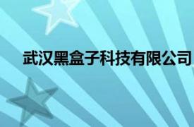 武漢黑盒子科技有限公司（武漢寶盒子科技有限公司）