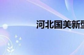 河北國美新型建材有限公司