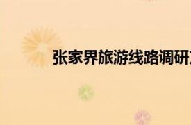 張家界旅游線路調(diào)研方案（張家界旅游線路）