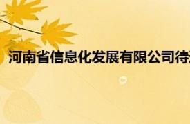 河南省信息化發展有限公司待遇（河南省信息化發展有限公司）