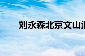 劉永森北京文山匯海速記公司創始人