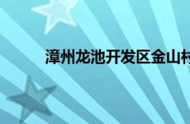 漳州龍池開發區金山村拆遷（漳州龍池開發區）