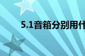 5.1音箱分別用什么喇叭（5.1音箱）