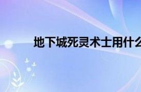 地下城死靈術(shù)士用什么武器（地下城死靈術(shù)士）