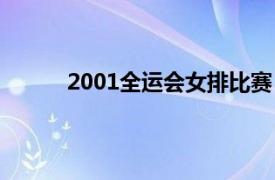 2001全運會女排比賽（2001年全運會女排賽）