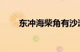東沖海柴角有沙灘嗎（東沖海柴角）