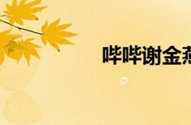 嗶嗶謝金燕的電子舞曲