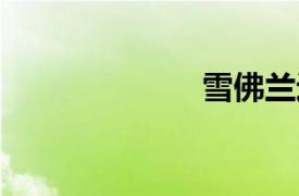 雪佛蘭邁銳寶XL