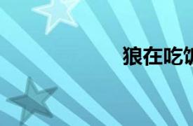 狼在吃飯時(shí)被殺死
