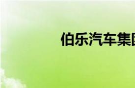 伯樂汽車集團（伯樂薦車）