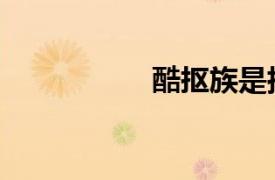 酷摳族是指（酷摳族）