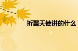 折翼天使講的什么（折翼的天使 劇情片）