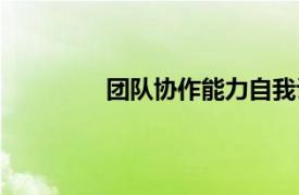 團隊協作能力自我評價（團隊協作能力）