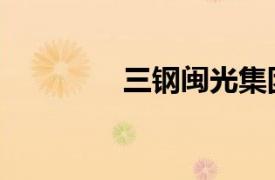 三鋼閩光集團（三鋼閩光）