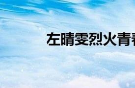左晴雯烈火青春系列（左晴雯）