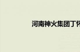 河南神火集團丁懷華（河南神火集團）