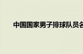 中國國家男子排球隊員名單（中國國家男子排球隊）