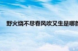 野火燒不盡春風(fēng)吹又生是哪首古詩（野火燒不盡春風(fēng)吹又生）