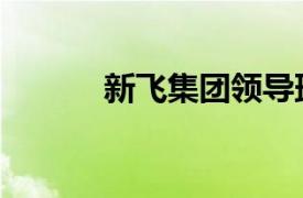 新飛集團領導班子（新飛集團）