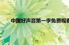 中國好聲音第一季免費觀看完整版（中國好聲音第一季）