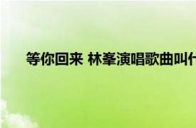 等你回來 林峯演唱歌曲叫什么（等你回來 林峯演唱歌曲）
