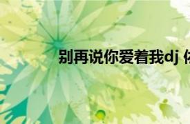 別再說你愛著我dj 依稀（別再說你愛著我）