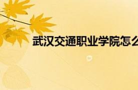 武漢交通職業(yè)學(xué)院怎么樣（武漢交通職業(yè)學(xué)院）