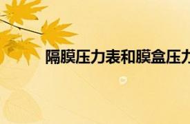隔膜壓力表和膜盒壓力表的區別（隔膜壓力表）
