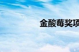 金酸莓獎項(xiàng)（金酸莓獎）