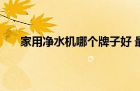 家用凈水機哪個牌子好 最新十大排名（家用凈水機）