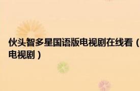 伙頭智多星國(guó)語版電視劇在線看（伙頭智多星 2005年張衛(wèi)健、羅嘉良主演電視劇）