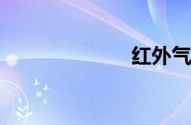 紅外氣體探測器