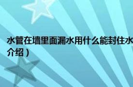 水管在墻里面漏水用什么能封住水（水管漏水用什么能封住水相關內容簡介介紹）