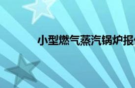 小型燃氣蒸汽鍋爐報價（小型燃氣蒸汽鍋爐）