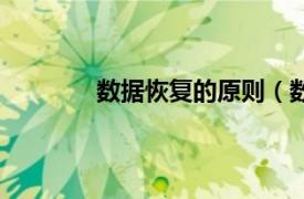 數據恢復的原則（數據恢復的原理與方法）