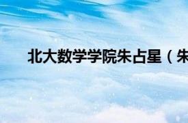北大數(shù)學(xué)學(xué)院朱占星（朱小華 北京大學(xué)數(shù)學(xué)系教授）