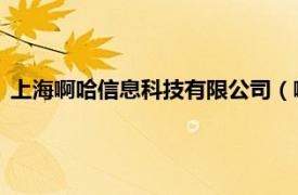 上海啊哈信息科技有限公司（啊哈一下 北京信息科技有限公司）