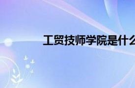 工貿(mào)技師學(xué)院是什么學(xué)歷（工貿(mào)技師學(xué)院）
