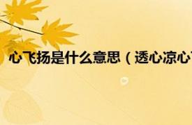 心飛揚是什么意思（透心涼心飛揚暗示什么相關內容簡介介紹）