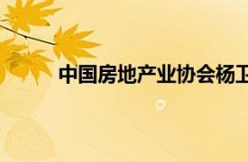 中國房地產業協會楊衛江（中國房地產業協會）