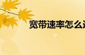 寬帶速率怎么選擇（寬帶速率）