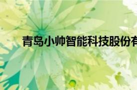 青島小帥智能科技股份有限公司是海爾旗下公司嗎?