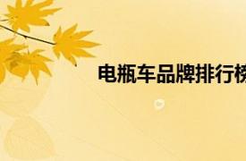 電瓶車品牌排行榜十大名牌（電瓶車）