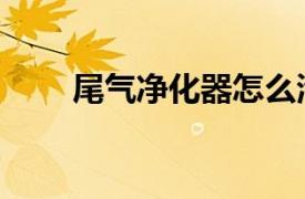 尾氣凈化器怎么清理（尾氣凈化器）