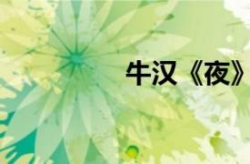 牛漢《夜》賞析（牛漢）