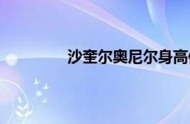 沙奎爾奧尼爾身高體重（沙奎爾奧尼爾）